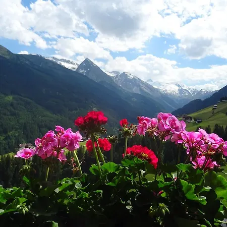 Appartement Scheurerhof *