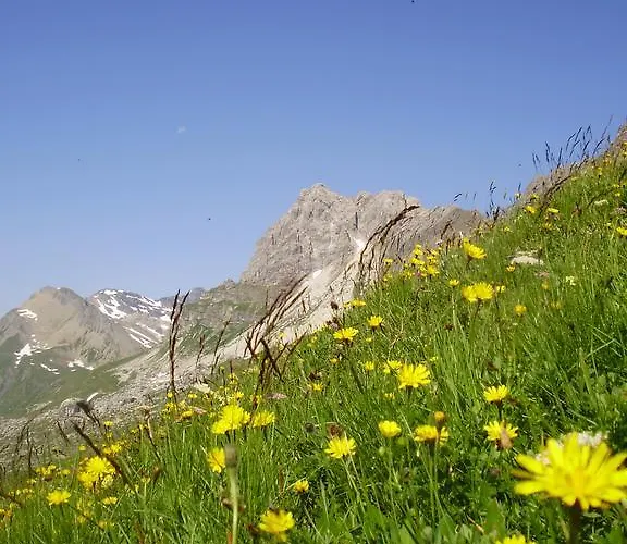 Scheurerhof Apartmán *