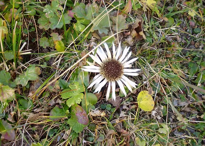 Apartmán Scheurerhof