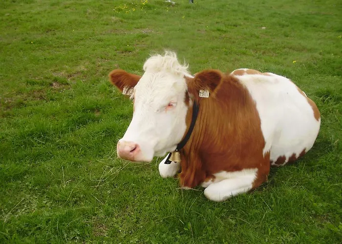 Apartmán Scheurerhof Tux