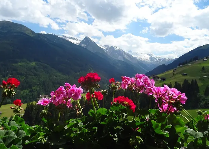 Apartmán Scheurerhof *