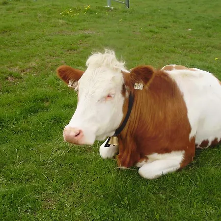 Apartment Scheurerhof Tux